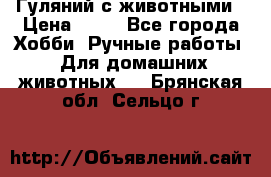 Гуляний с животными › Цена ­ 70 - Все города Хобби. Ручные работы » Для домашних животных   . Брянская обл.,Сельцо г.